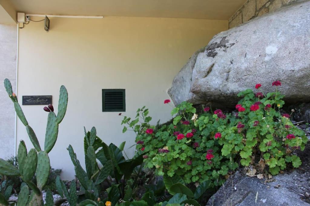 Casa Quelha Da Presa Villa Espinho  Exteriör bild